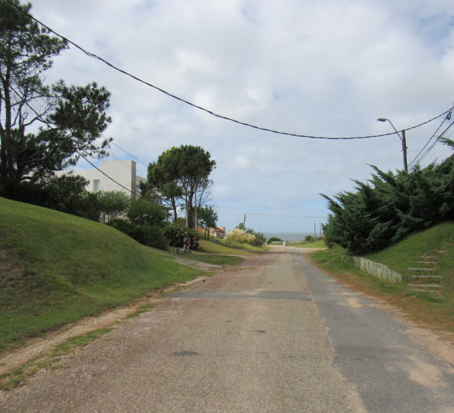 Apozinhas (31)