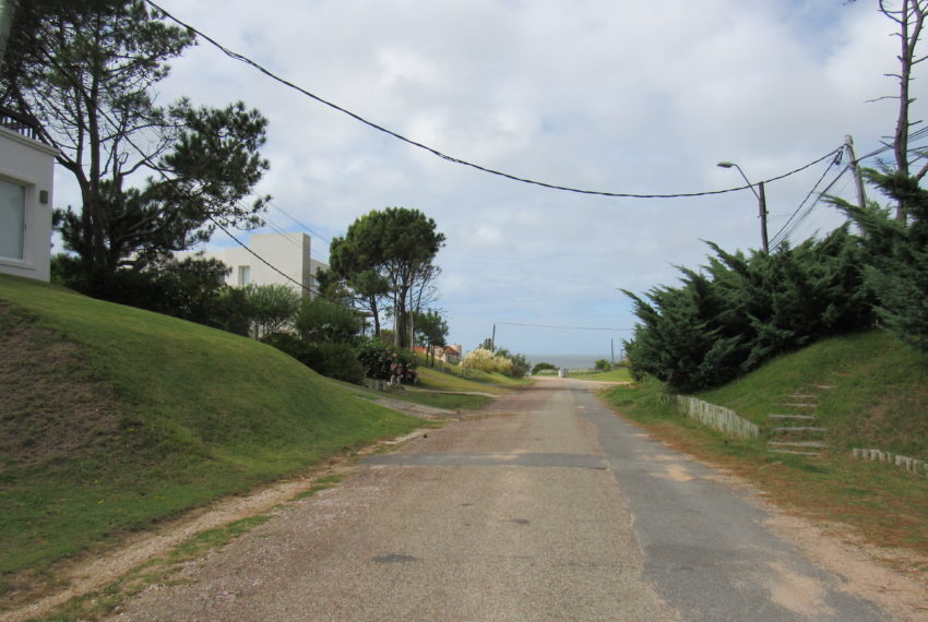 Apozinhas (31)