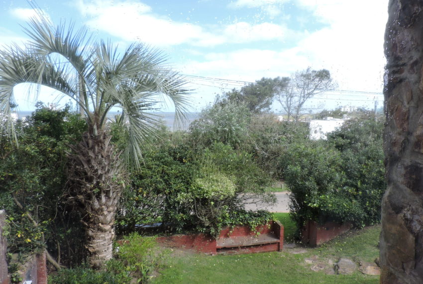 La Colorada (20)