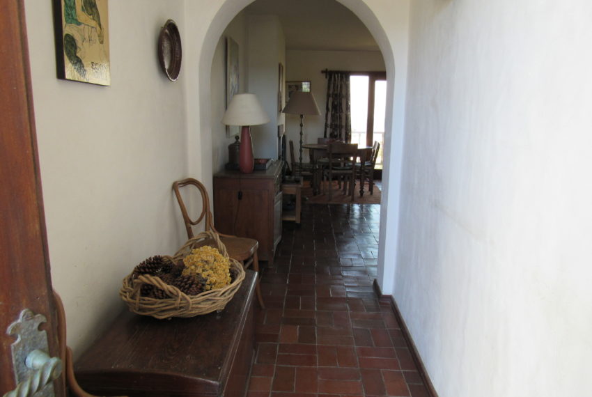 Vallarta 6 (11)