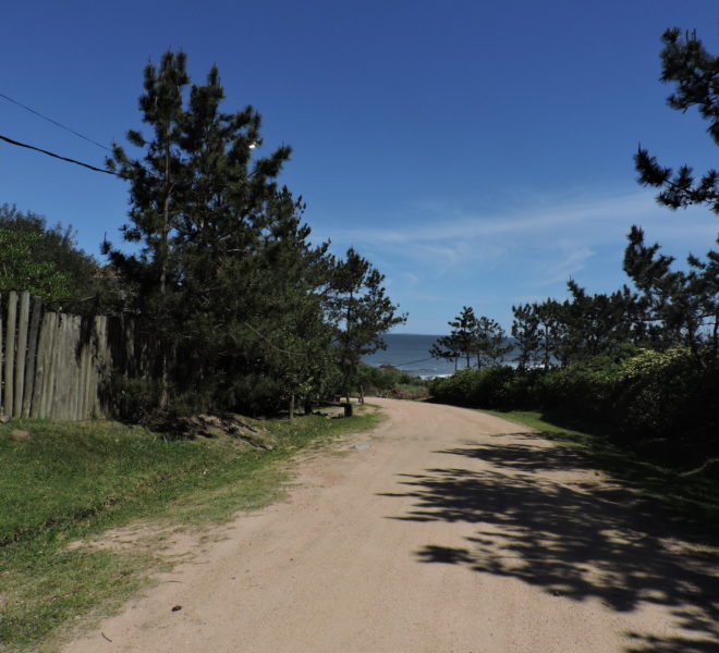 WindSea (1)
