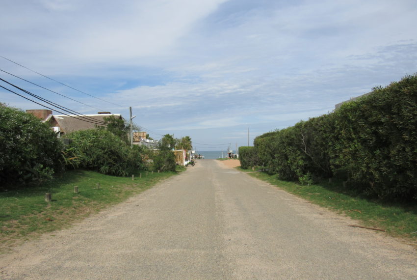 Azibi (39)