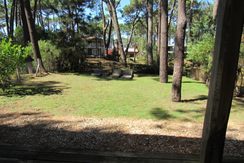Guapa Al Bosque (3)