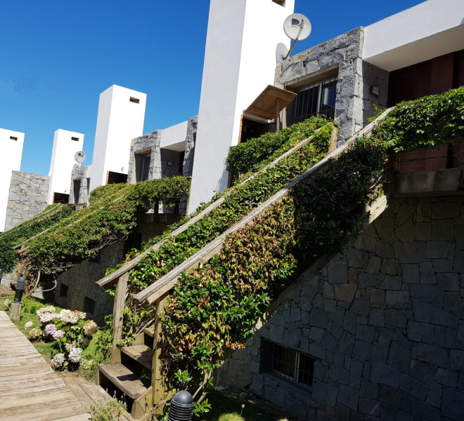 Mareas 3 (43)