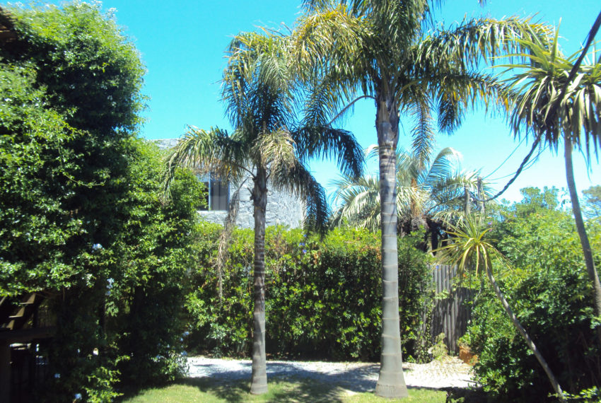 DSC05818