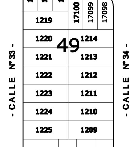 Manzana 49