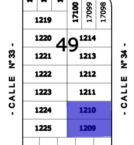 Manzana 49,jpg