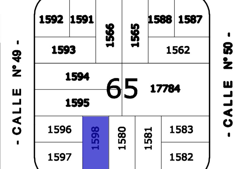 Manzana 65