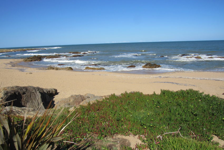 Sudestada (25)