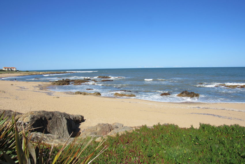 Sudestada (26)