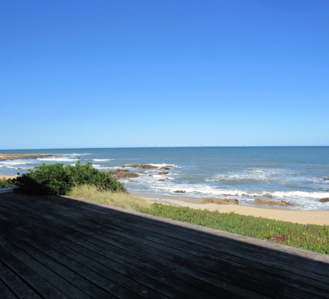 Sudestada (28)