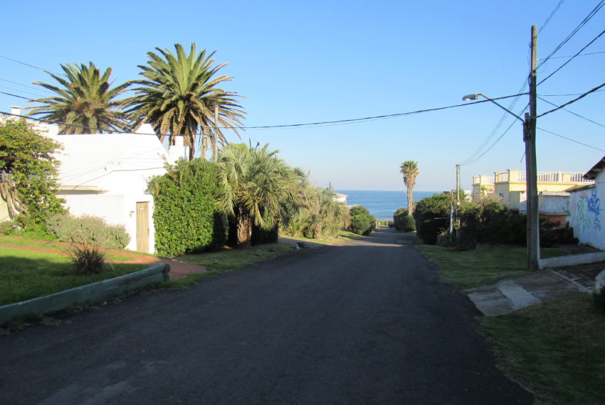 Los Pichones (2)