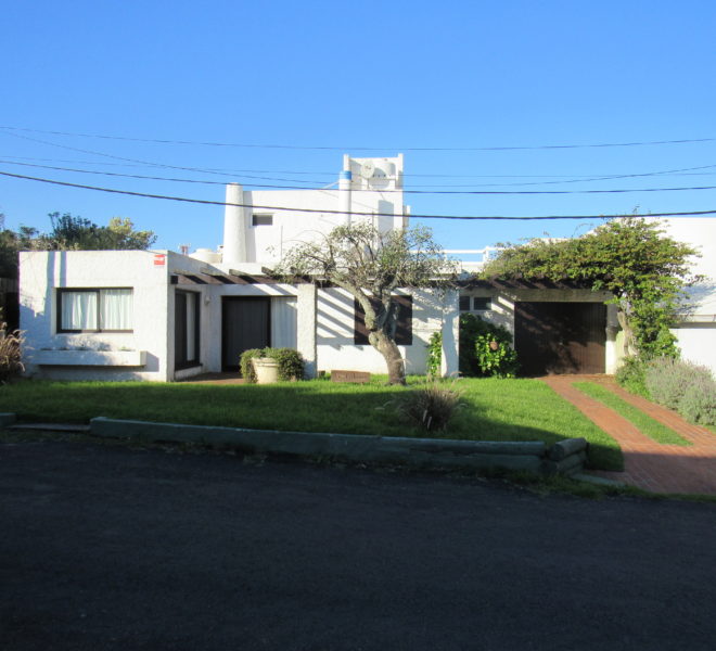 Los Pichones (3)