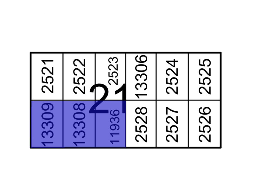 Manzana 21 3