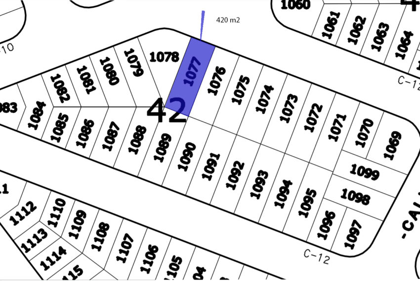 Manzana 42