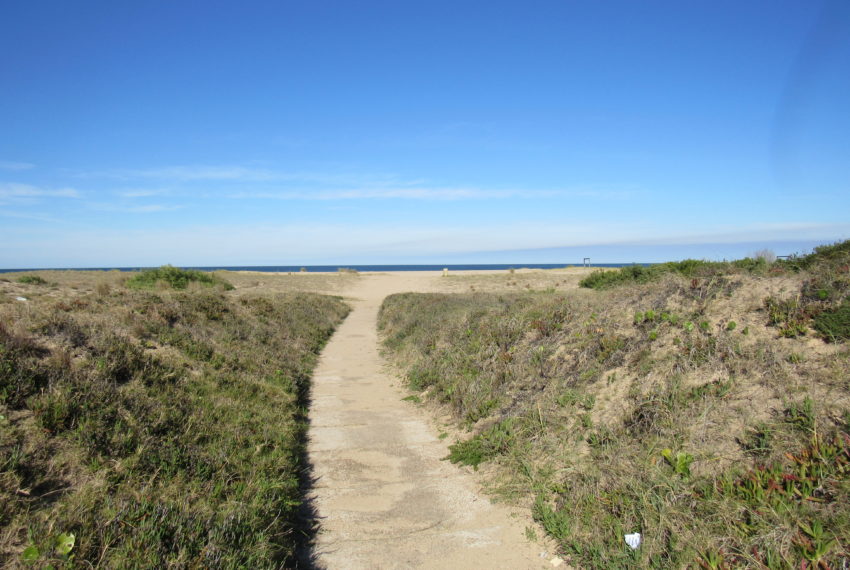 Bahia de ManMuñoz (35)