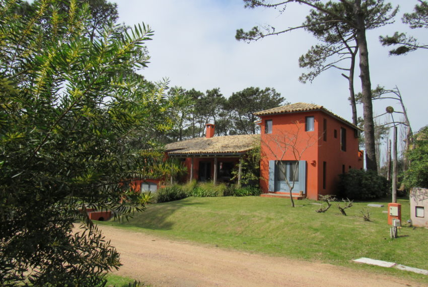Marcelo (1)