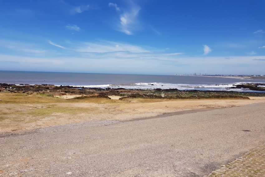 Las Rocas 1 (44)
