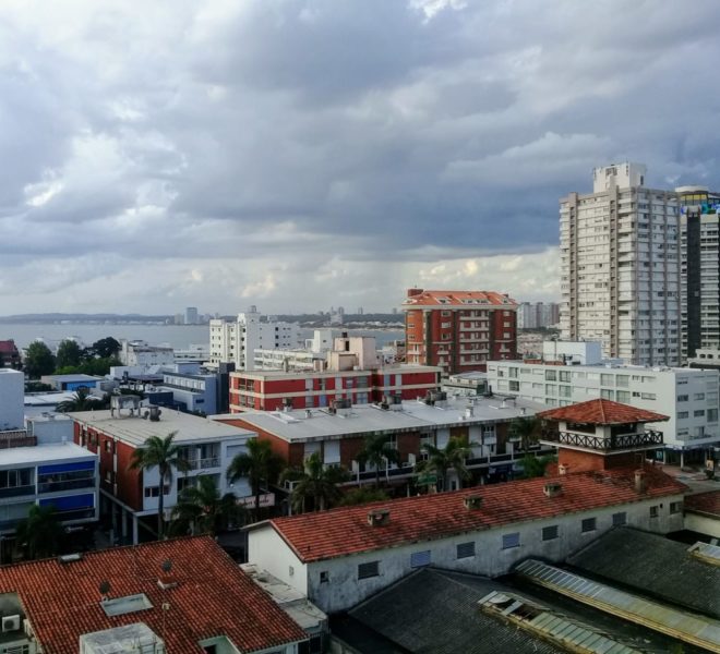 IMG-20181230-WA0156