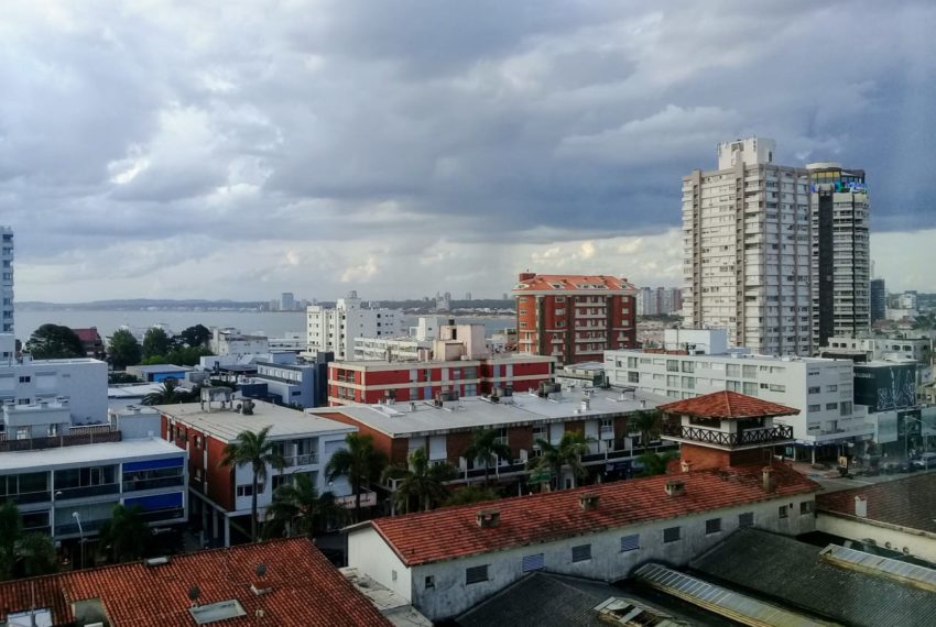 IMG-20181230-WA0156