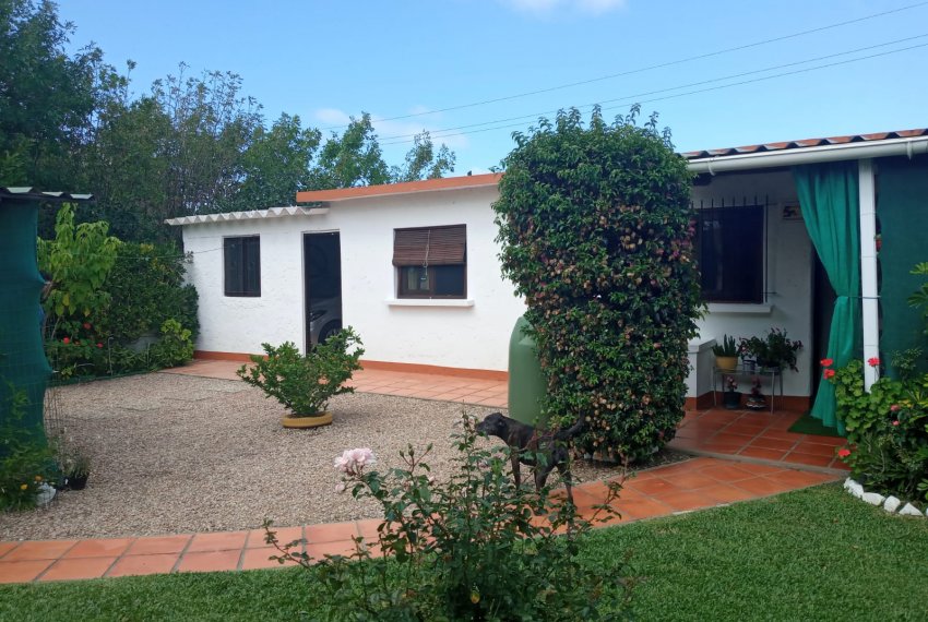 La Casa de Agustina (10)