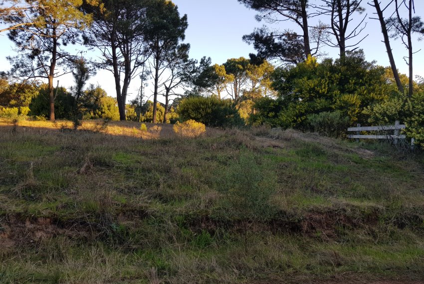 2 lotes Barra Verde (2)