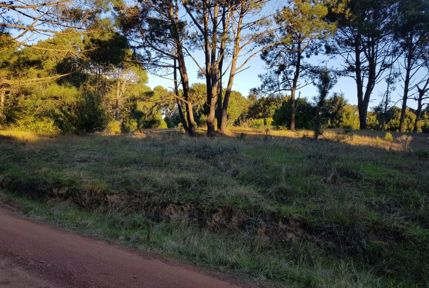 2 lotes Barra Verde (3)