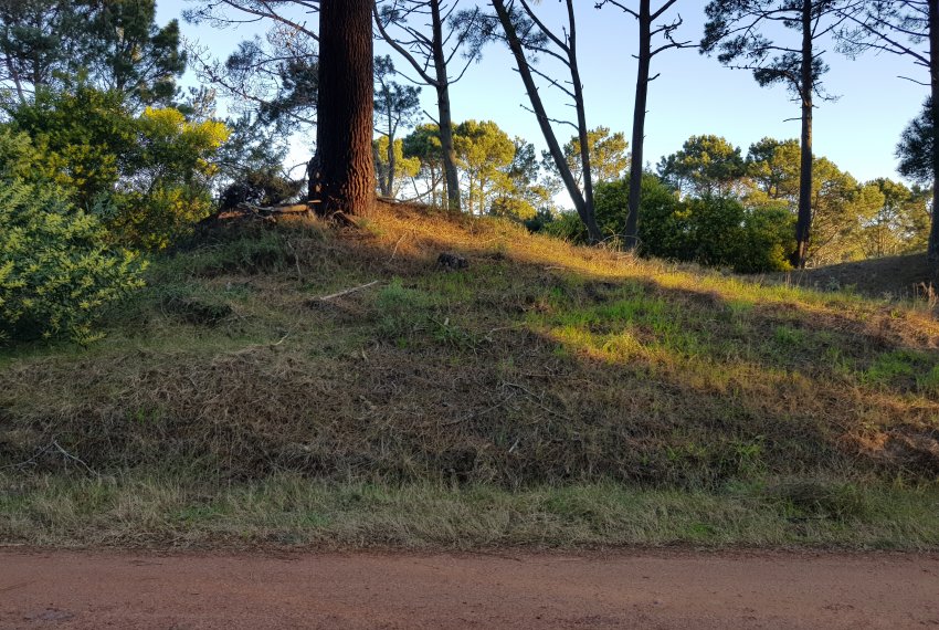 2 lotes Barra Verde (4)