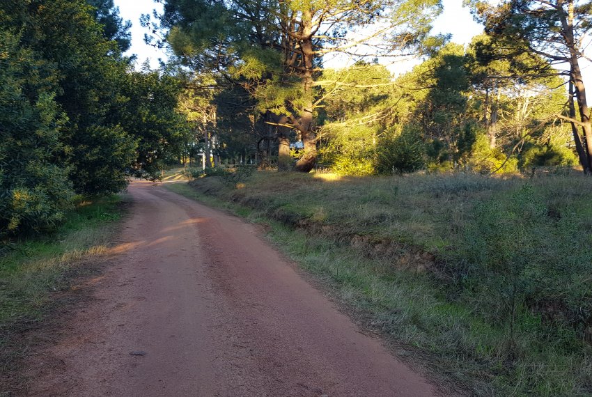 2 lotes Barra Verde (5)