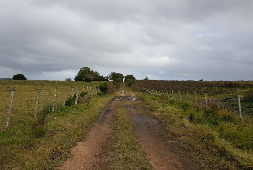 Ruta 12 (17)