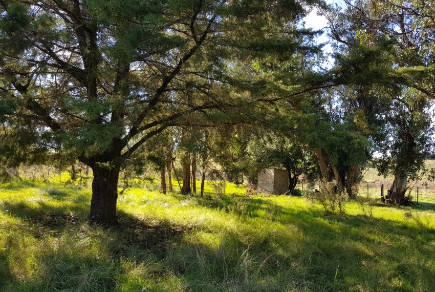 Ruta 12 (31)