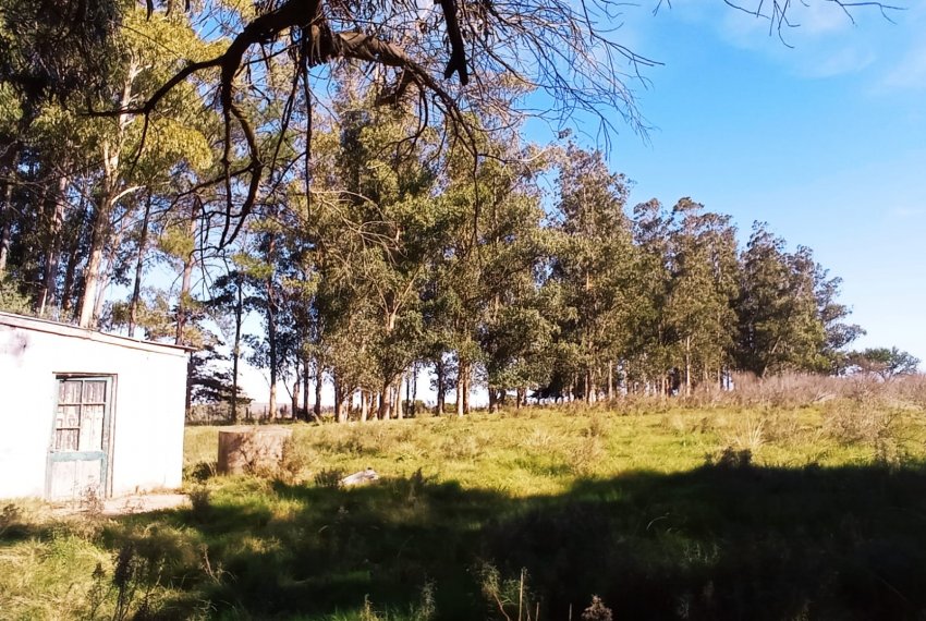 Ruta 12 (36)