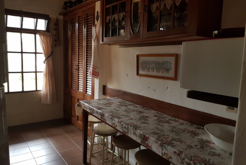 Los Isleños (10)