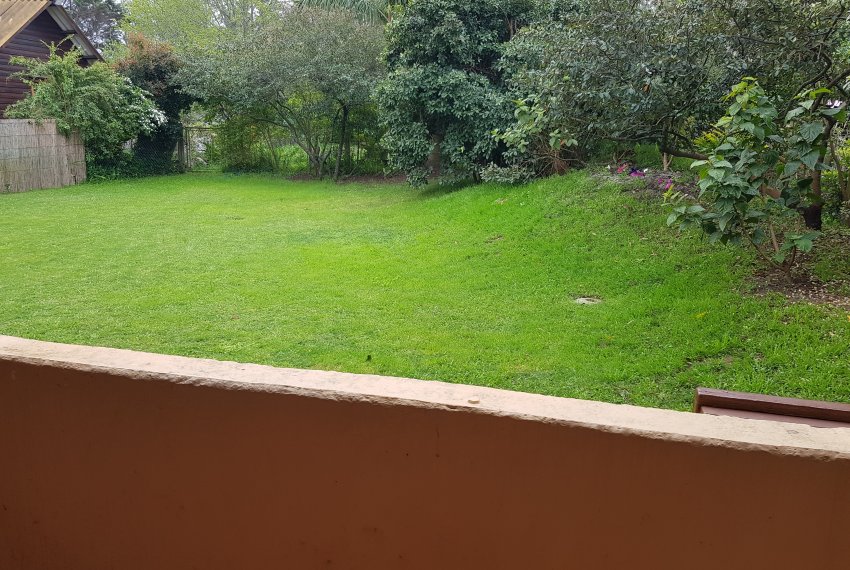 Los Isleños (25)