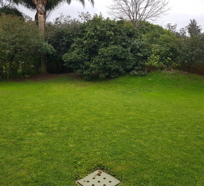 Los Isleños (3)