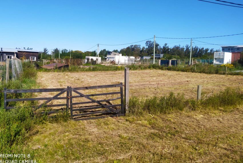 lote (1)